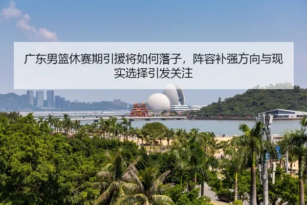 广东男篮休赛期引援将如何落子，阵容补强方向与现实选择引发关注